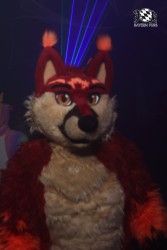 BFD9 0114 von Sidney Kenson