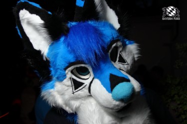 BFD9 0133 von Sidney Kenson