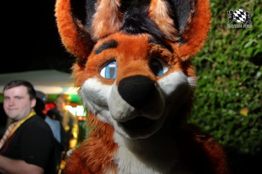 BFD9 0174 von Sidney Kenson