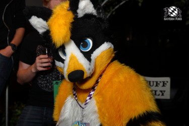 BFD9 0193 von Sidney Kenson