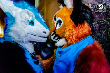 BFD9 0214 von Astertz