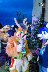 BFD9 0221 von Astertz