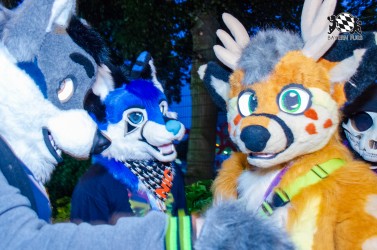 BFD9 0225 von Astertz