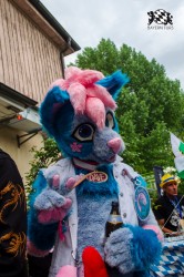 BFD9 0231 von Astertz