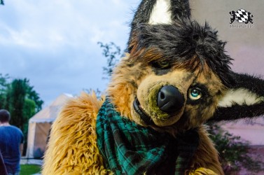 BFD9 0249 von Astertz