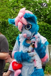 BFD9 0251 von Astertz