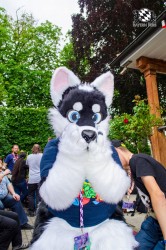 BFD9 0257 von Astertz