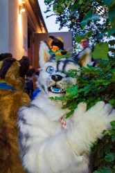 BFD9 0258 von Astertz