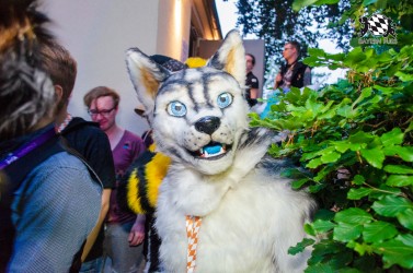 BFD9 0259 von Astertz