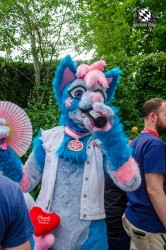 BFD9 0272 von Astertz