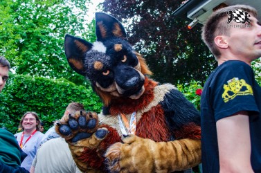 BFD9 0275 von Astertz