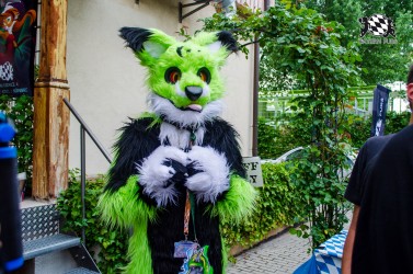 BFD9 0276 von Astertz