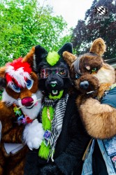 BFD9 0278 von Astertz