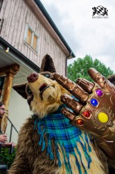 BFD9 0280 von Astertz