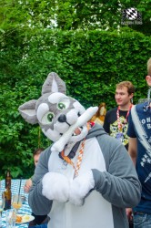 BFD9 0288 von Astertz