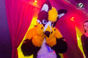 BFD9 0294 von Astertz