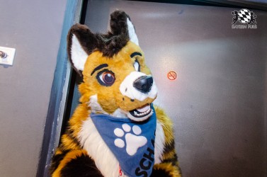 BFD9 0301 von Astertz