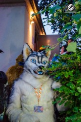 BFD9 0319 von Astertz