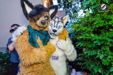 BFD9 0320 von Astertz