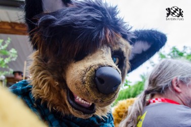 BFD9 0324 von Astertz