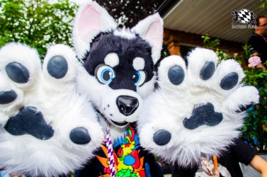 BFD9 0336 von Astertz