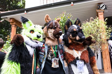 BFD9 0359 von Bastlwastl