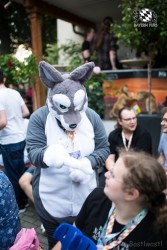 BFD9 0380 von Bastlwastl