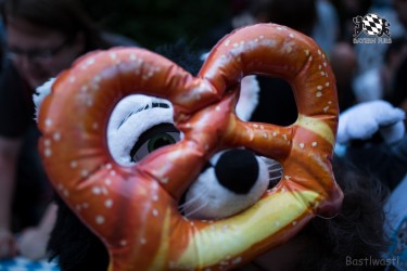 BFD9 0393 von Bastlwastl