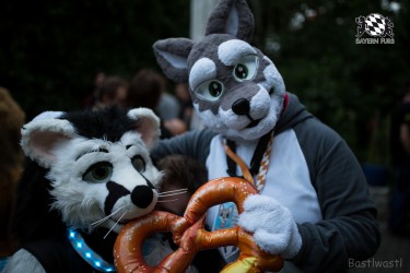 BFD9 0394 von Bastlwastl