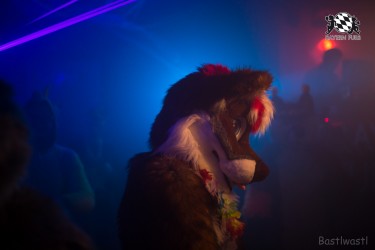 BFD9 0412 von Bastlwastl