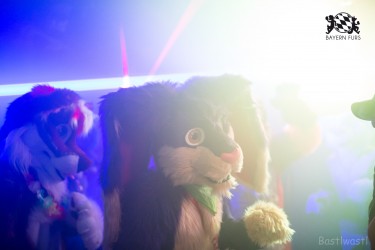 BFD9 0419 von Bastlwastl