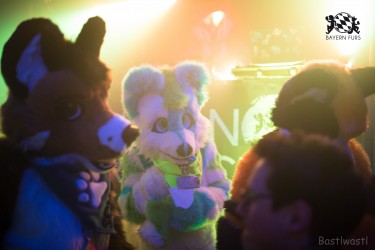 BFD9 0428 von Bastlwastl