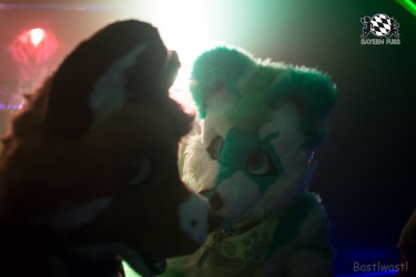 BFD9 0431 von Bastlwastl