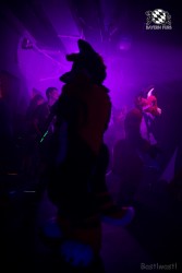 BFD9 0477 von Bastlwastl