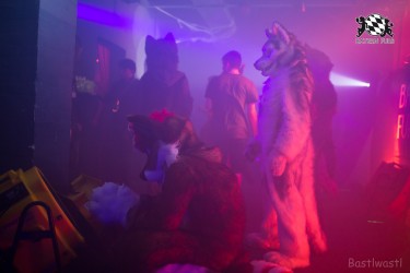 BFD9 0488 von Bastlwastl