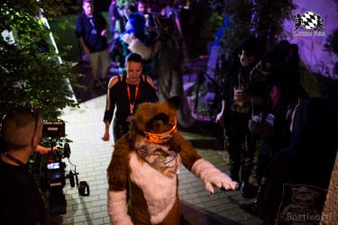 BFD9 0496 von Bastlwastl