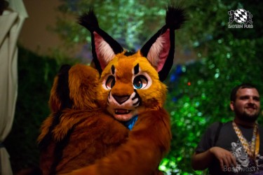 BFD9 0500 von Bastlwastl