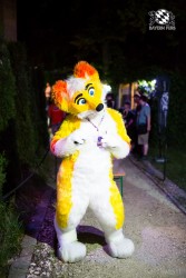 BFD9 0516 von Bastlwastl