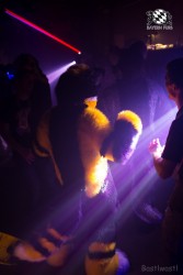 BFD9 0521 von Bastlwastl