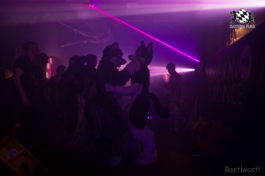 BFD9 0525 von Bastlwastl