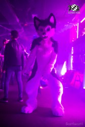 BFD9 0538 von Bastlwastl