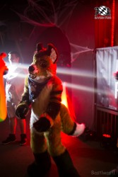 BFD9 0613 von Bastlwastl