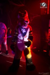 BFD9 0615 von Bastlwastl