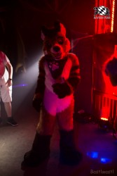 BFD9 0616 von Bastlwastl