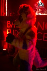 BFD9 0617 von Bastlwastl