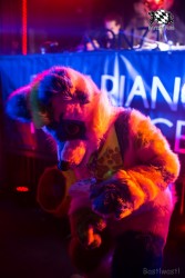 BFD9 0619 von Bastlwastl