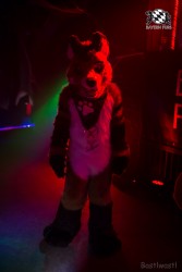 BFD9 0622 von Bastlwastl