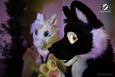 BFD9 0634 von Bastlwastl