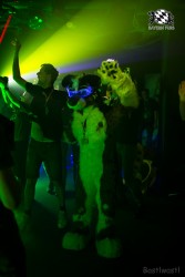 BFD9 0635 von Bastlwastl