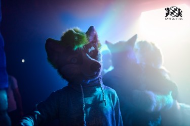 BFD9 0646 von Chaotika